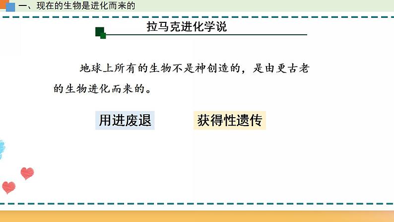 第五章 第一节 丰富多样的现存物种来自共同祖先-【名校同步】2021-2022学年高一生物精品课件（浙科版2019必修2）06