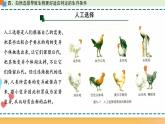 第五章 第二节 适应是自然选择的结果（课时2）-【名校同步】2021-2022学年高一生物精品课件（浙科版2019必修2）