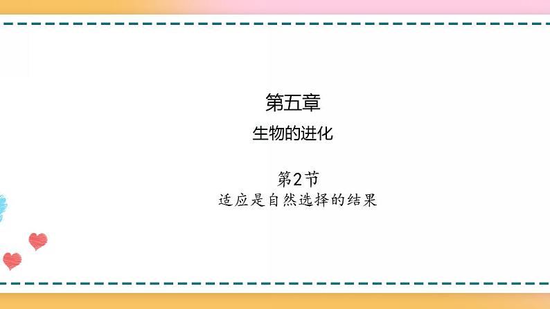 第五章 第二节 适应是自然选择的结果（课时2）-【名校同步】2021-2022学年高一生物精品课件（浙科版2019必修2）04