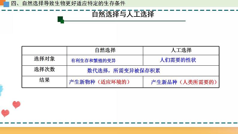 第五章 第二节 适应是自然选择的结果（课时2）-【名校同步】2021-2022学年高一生物精品课件（浙科版2019必修2）07