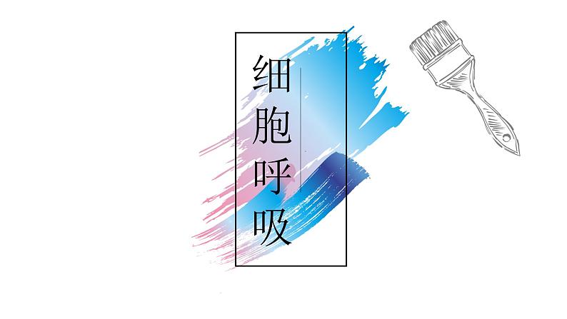 5.3细胞呼吸的原理和应用课件2022-2023学年高一上学期生物人教版必修101