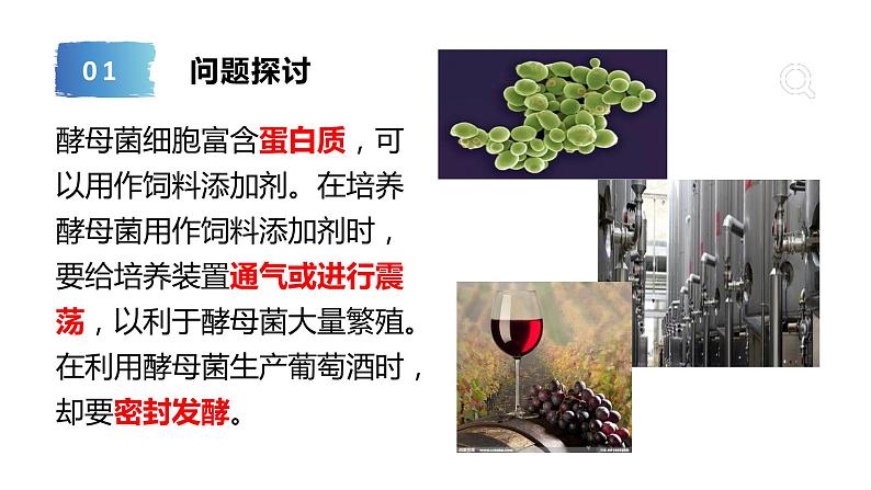 5.3细胞呼吸的原理和应用课件2022-2023学年高一上学期生物人教版必修102