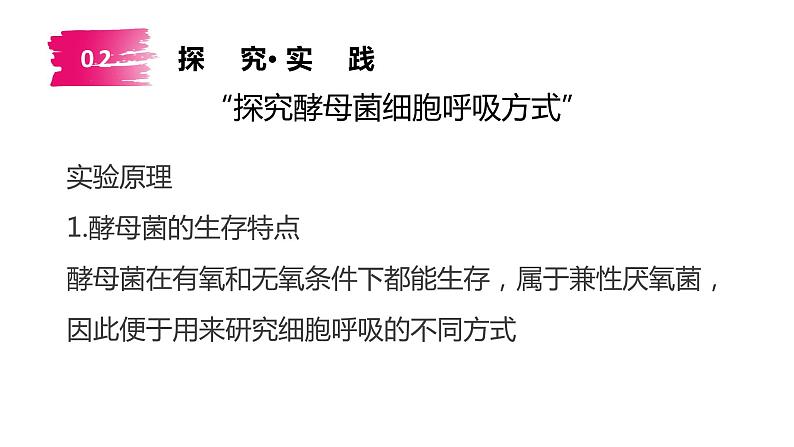 5.3细胞呼吸的原理和应用课件2022-2023学年高一上学期生物人教版必修107