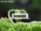 5.2其他植物激素课件2022-2023学年高二上学期生物人教版选择性必修1