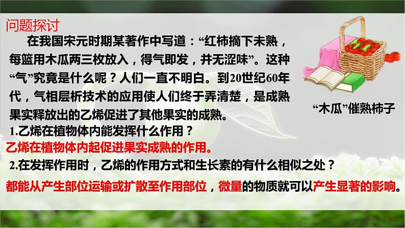 5.2其他植物激素课件2022-2023学年高二上学期生物人教版选择性必修1第7页