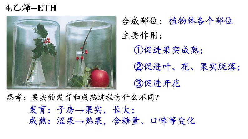 5.2其他植物激素课件2022-2023学年高二上学期生物人教版选择性必修1第8页