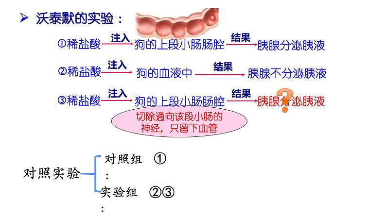 3.1 激素与内分泌系统课件2022-2023学年高二上学期生物人教版选择性必修1第6页