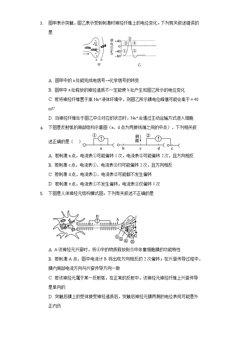 2.3神经冲动的产生和传导   人教版（2019）高中生物选择性必修第一册同步练习（含答案解析）第2页