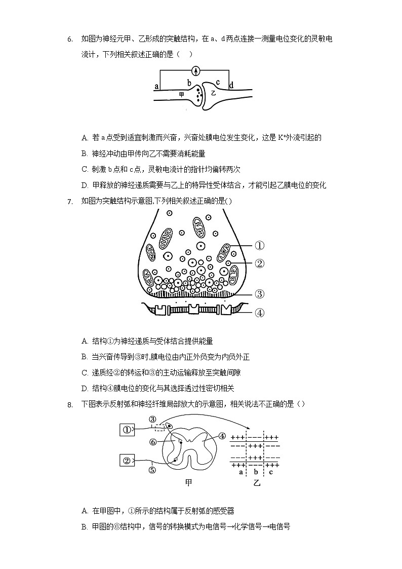 2.3神经冲动的产生和传导   人教版（2019）高中生物选择性必修第一册同步练习（含答案解析）第3页