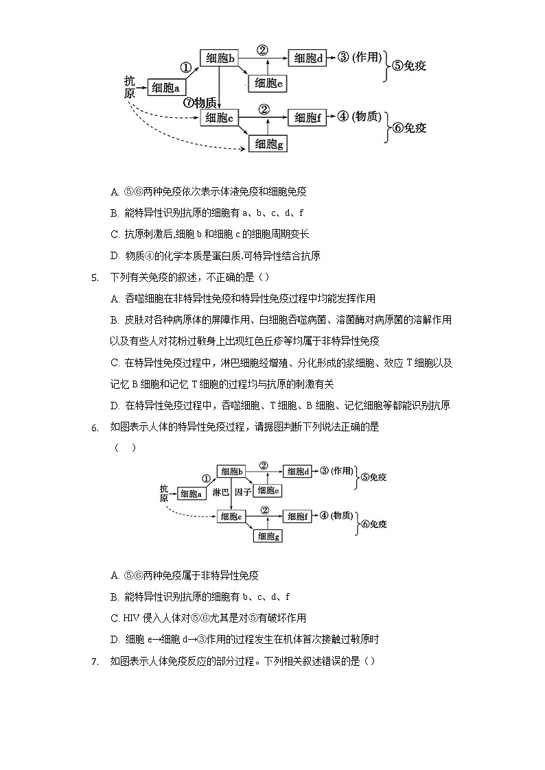 4.2特异性免疫   人教版（2019）高中生物选择性必修第一册同步练习（含答案解析）02
