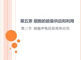 【2019人教版】必修1第5章第3节 细胞呼吸的原理和应用 课件PPT