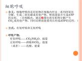 【2019人教版】必修1第5章第3节 细胞呼吸的原理和应用 课件PPT