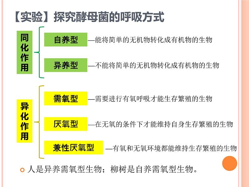 【2019人教版】必修1第5章第3节 细胞呼吸的原理和应用 课件PPT07