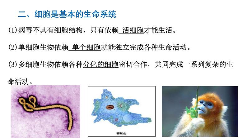 1.1 细胞是生命活动的基本单位 课件07