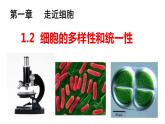 1.2  细胞的多样性和统一性 课件