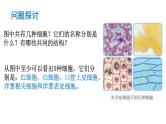1.2  细胞的多样性和统一性 课件