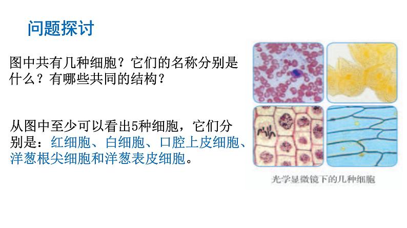 1.2  细胞的多样性和统一性第2页