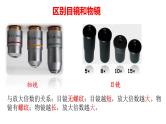 1.2  细胞的多样性和统一性 课件