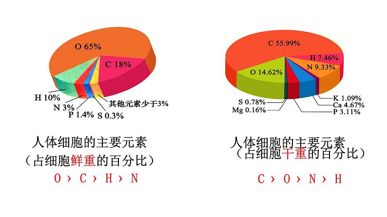 2.1 细胞中的元素和化合物第4页