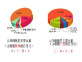 2.1 细胞中的元素和化合物 课件