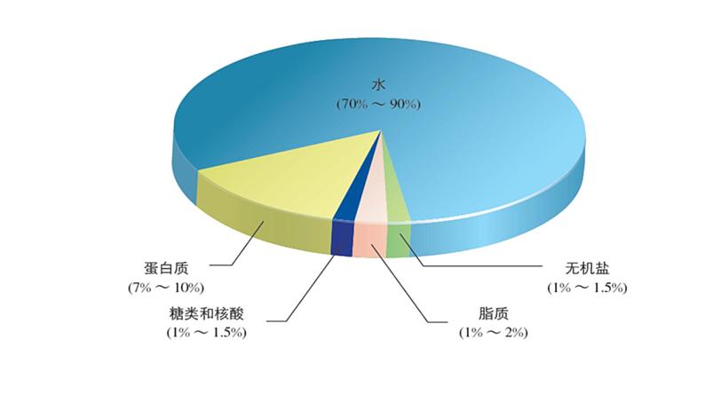 2.1 细胞中的元素和化合物第6页