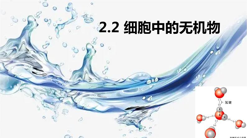 2.2 细胞中的无机物第1页