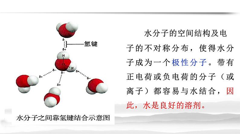 2.2 细胞中的无机物第6页