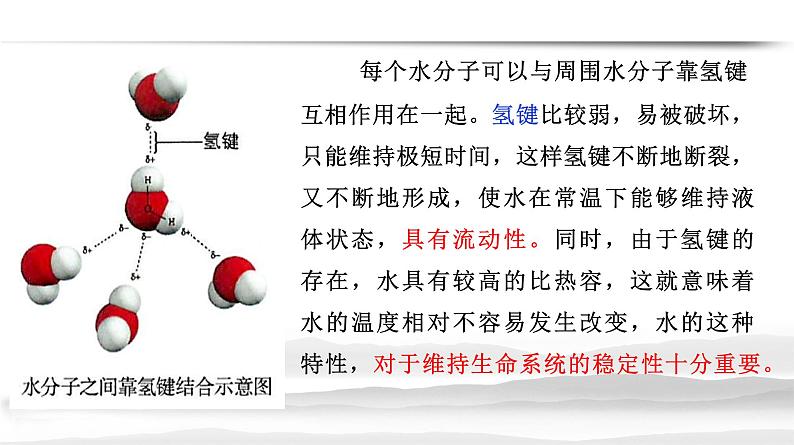 2.2 细胞中的无机物第7页