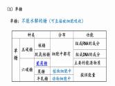 2.3 细胞中的糖类和脂质 课件