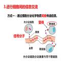 3.1　细胞膜的结构和功能 课件