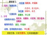 3.2 细胞器之间的分工合作（第2课时） 课件