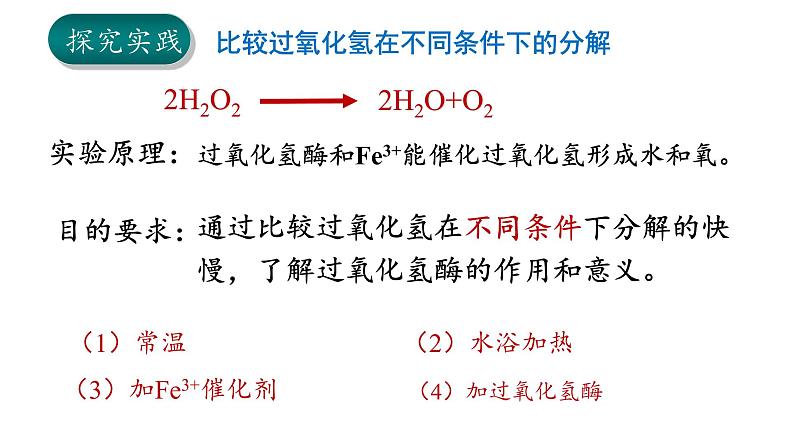 5.1 降低化学反应活化能的酶（第一课时）第5页