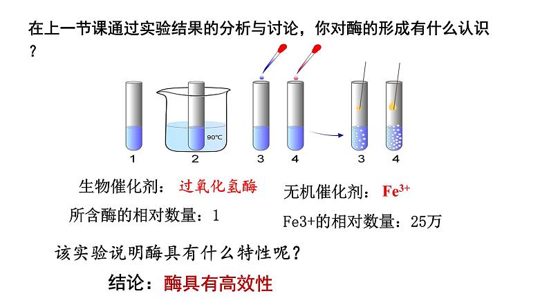 5.1 降低化学反应活化能的酶（第二课时） 课件02