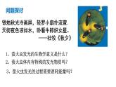 5.2 细胞的能量“货币”ATP 课件