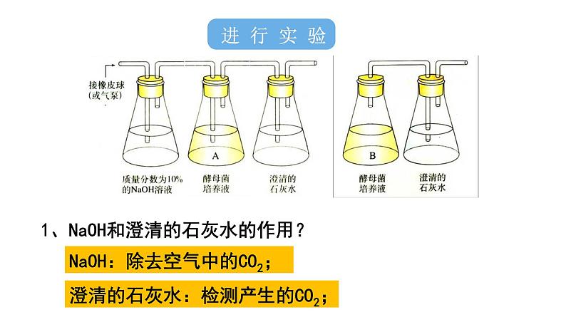 5.3 细胞呼吸的原理和应用 课件07