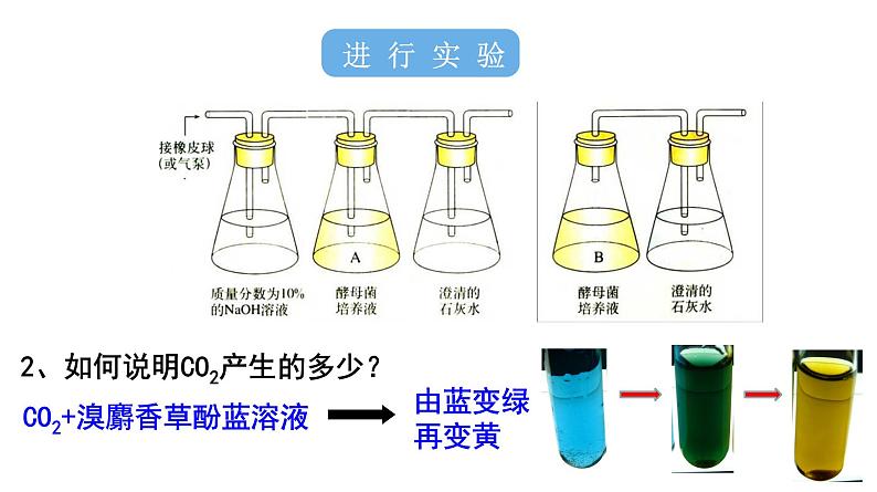 5.3 细胞呼吸的原理和应用 课件08