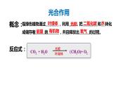 5.4 光合作用与能量转化（第二课时） 课件