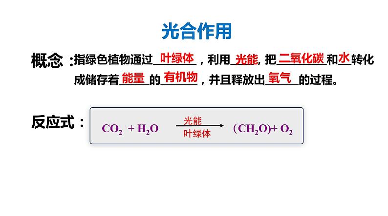 5.4 光合作用与能量转化（第二课时）第2页