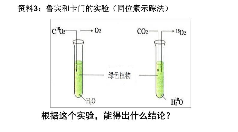 5.4 光合作用与能量转化（第二课时）第5页