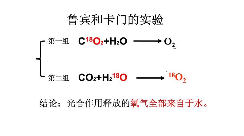 5.4 光合作用与能量转化（第二课时）第6页