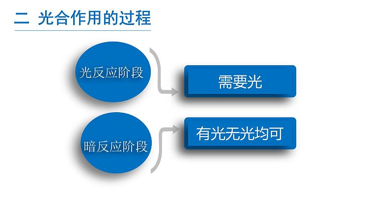 5.4 光合作用与能量转化（第二课时）第8页