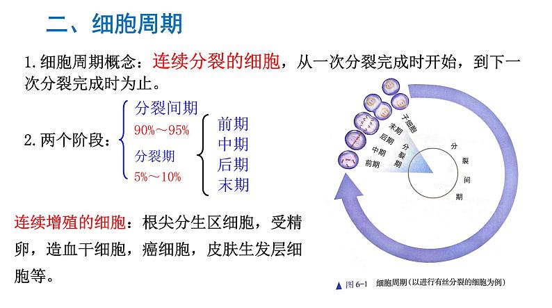 6.1 细胞的增殖第5页