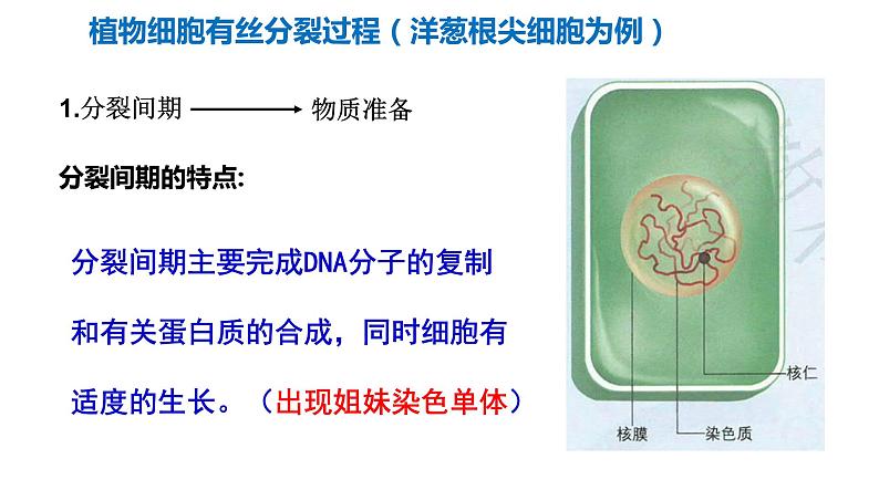 6.1 细胞的增殖第8页