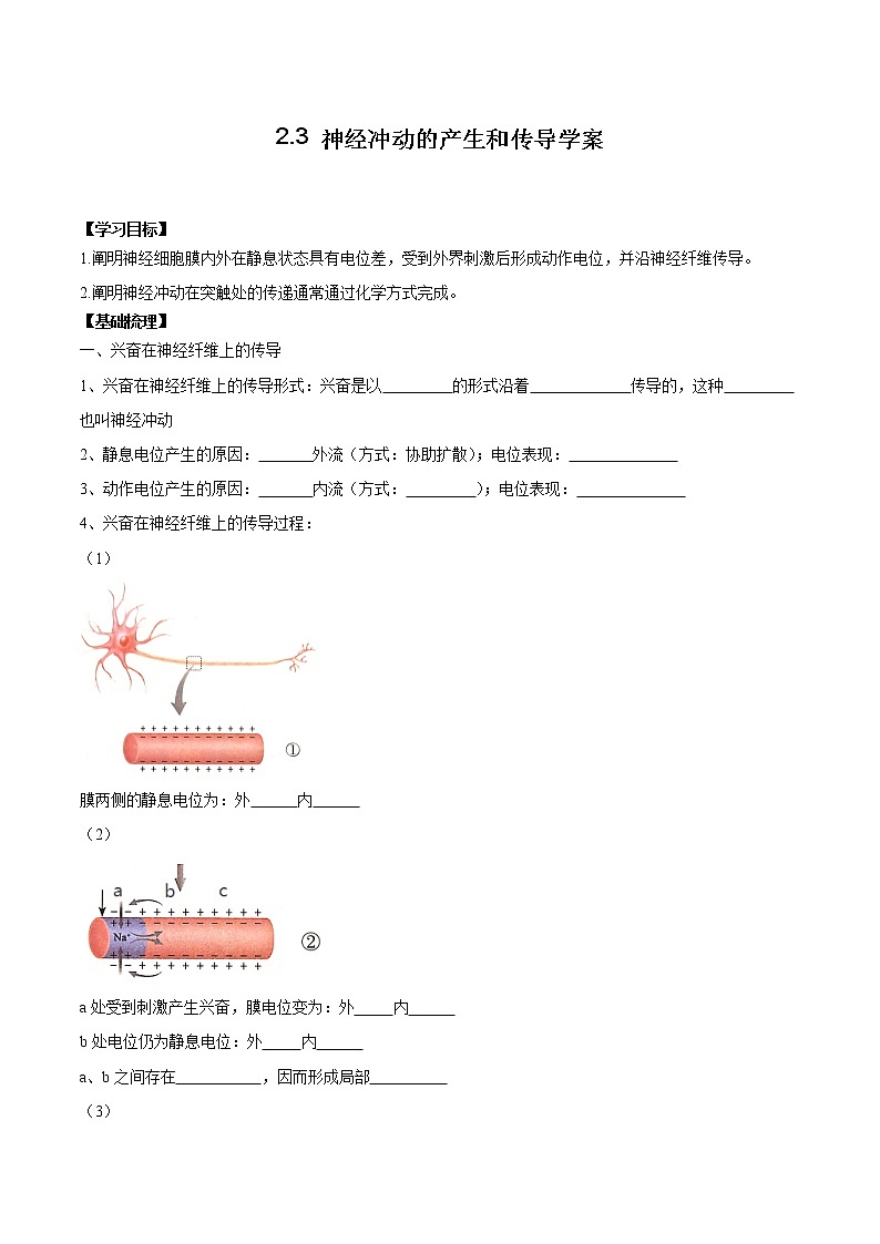2.3 神经冲动的产生和传导学案01