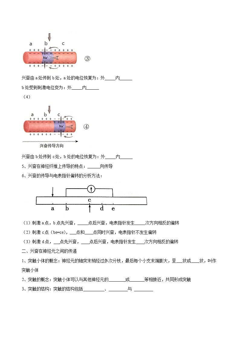 2.3 神经冲动的产生和传导学案02