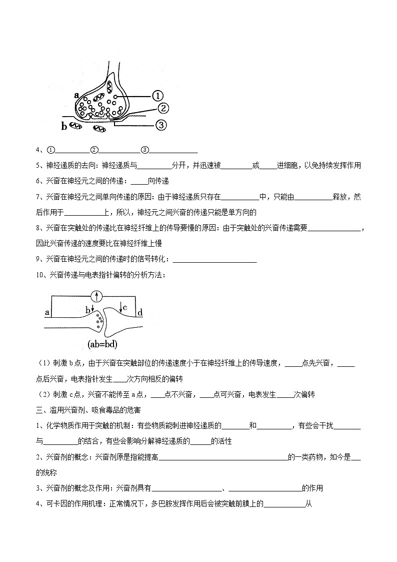 2.3 神经冲动的产生和传导学案03