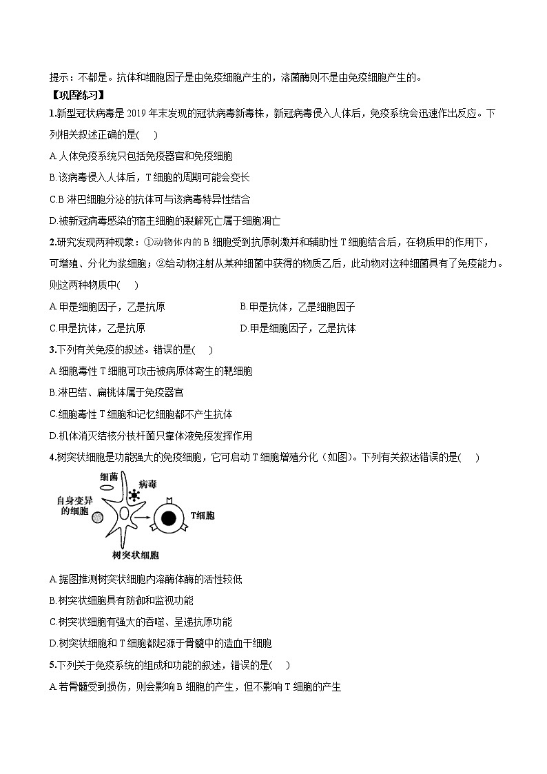 4.1免疫系统的组成和功能学案03