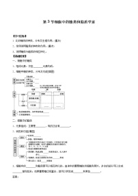 人教版 (2019)必修1《分子与细胞》第2章 组成细胞的分子第3节 细胞中的糖类和脂质导学案