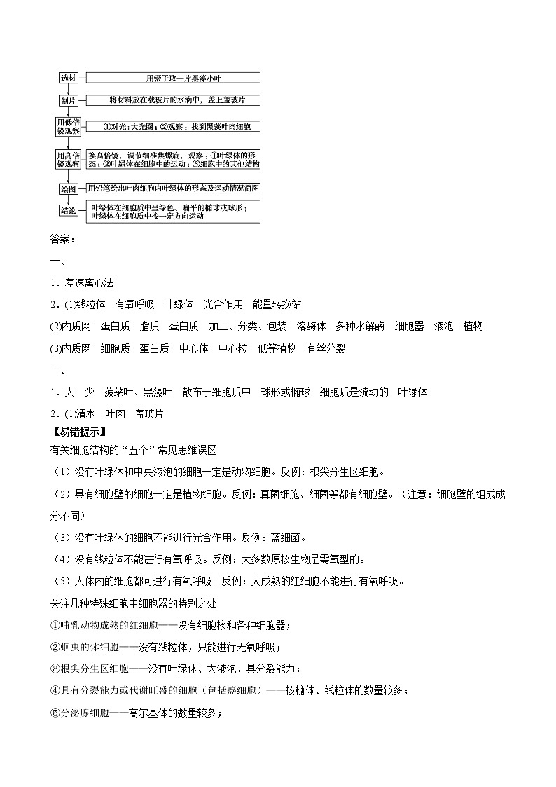 第2节细胞器之间的分工合作学案第3页