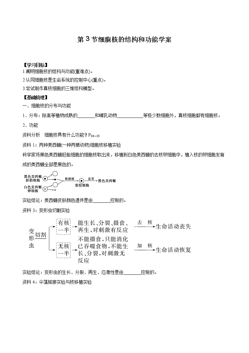 第3节细胞核的结构和功能学案第1页